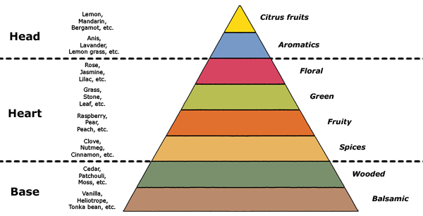 parfüm piramis parfümblog