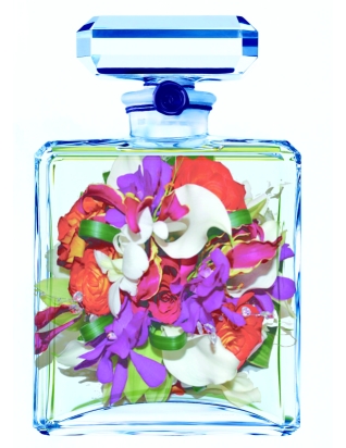 parfüm összetevők parfümblog 2