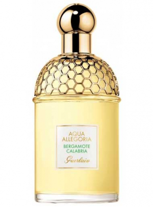 bergamote calabria parfümblog
