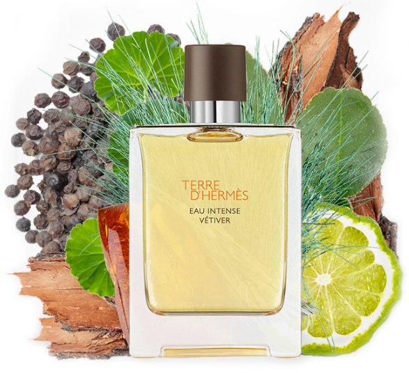 Hermés Terre d’Hermés Eau Intense Vetiver – parfümkritika